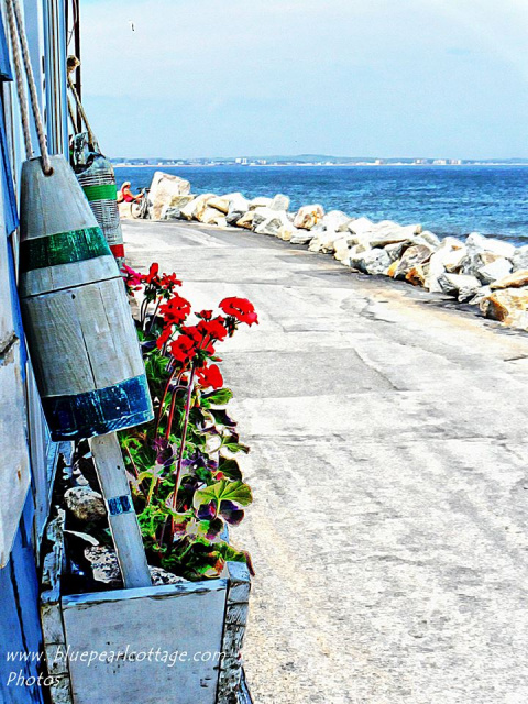 One Way Street to the Beach